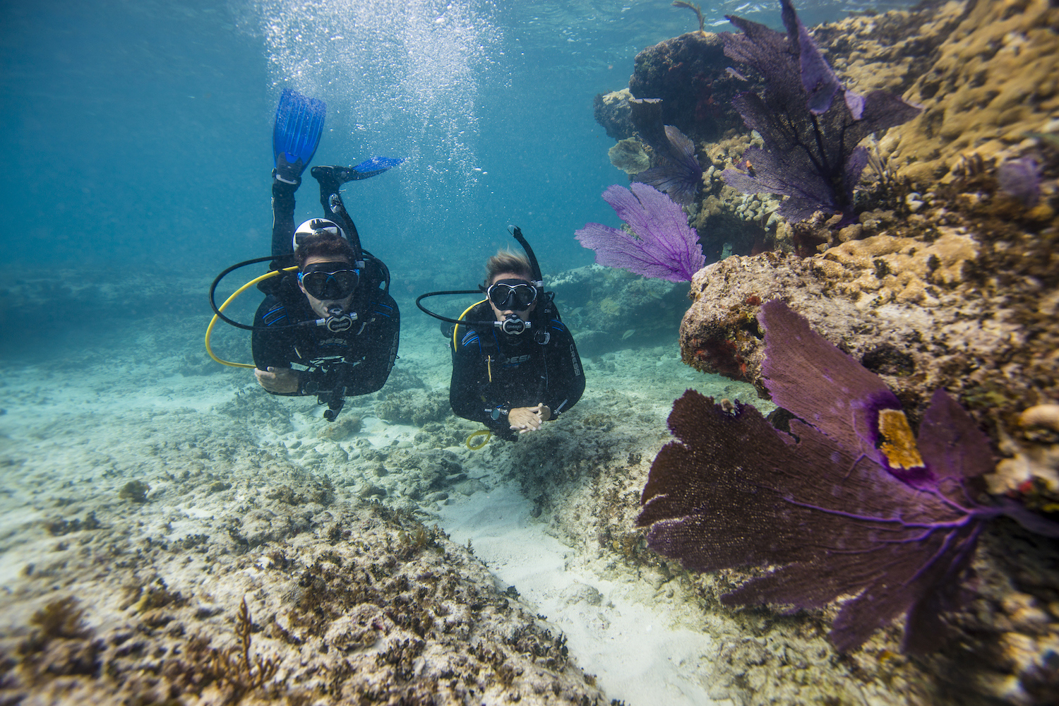 Scuba Diving