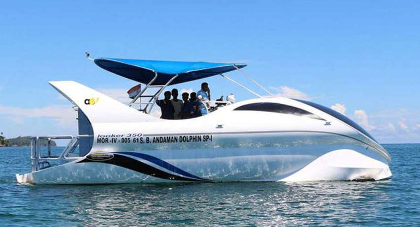 Andaman Dolphin