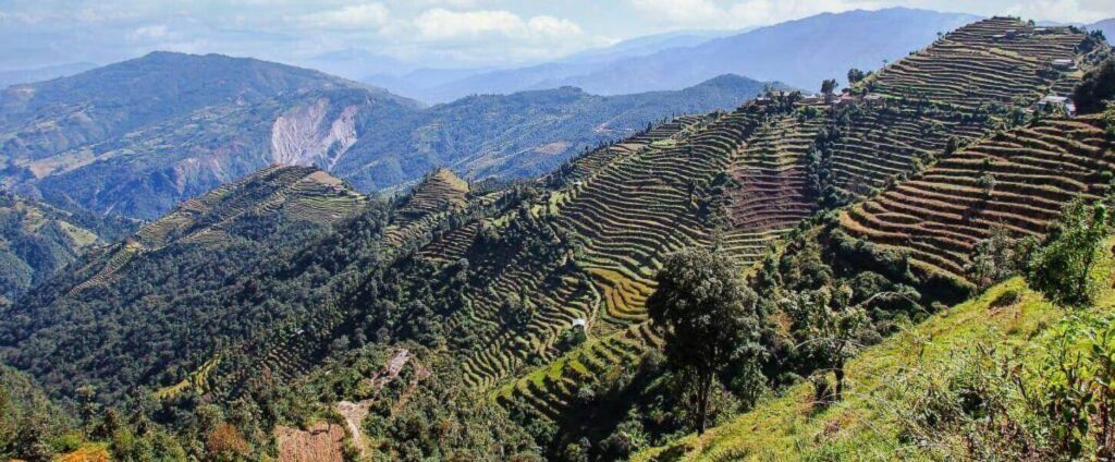 Best Trek in Nepal: Helambu