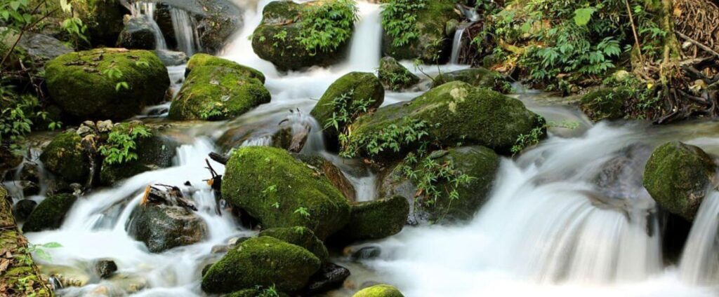 Shivapuri Nagarjun National Park