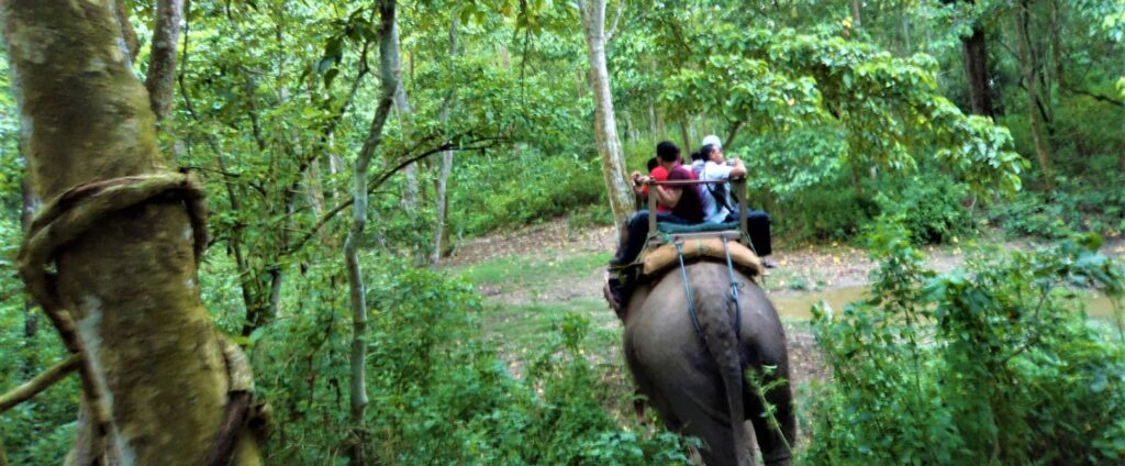 Kathmandu Pokhara Chitwan Tour