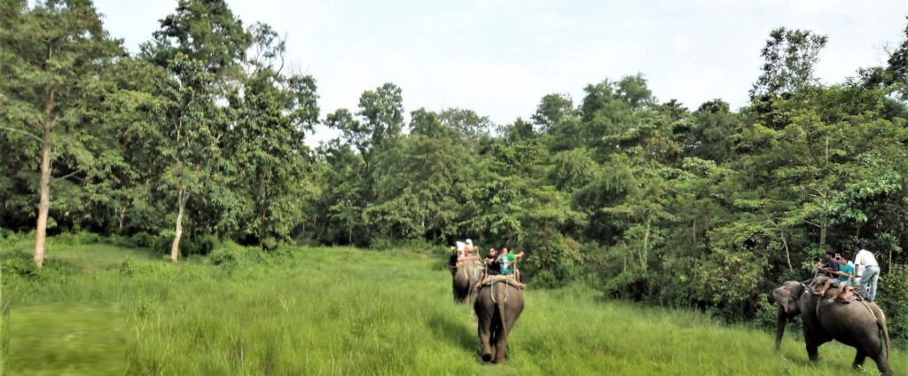 7 Days Nepal Tour: Chitwan Tour