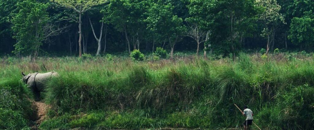 Chitwan jungle safari with rhino.