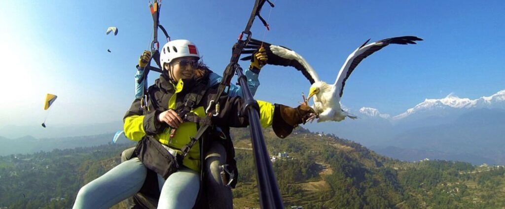 parahawking in Pokhara