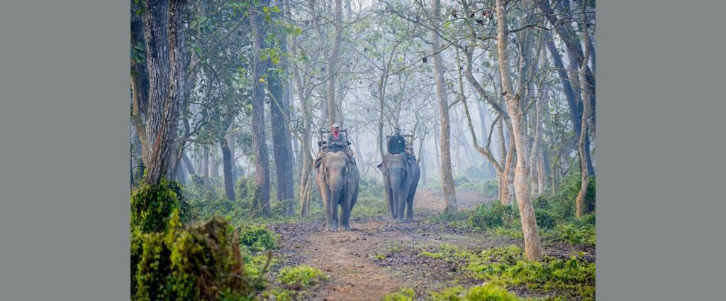 Chitwan National Park