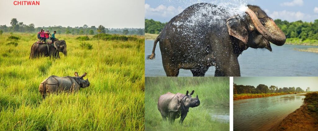 travel-tips- during-Kathmandu-and- Chitwan-tour 